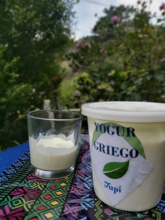 Yogur griego sin azúcar - Medio litro